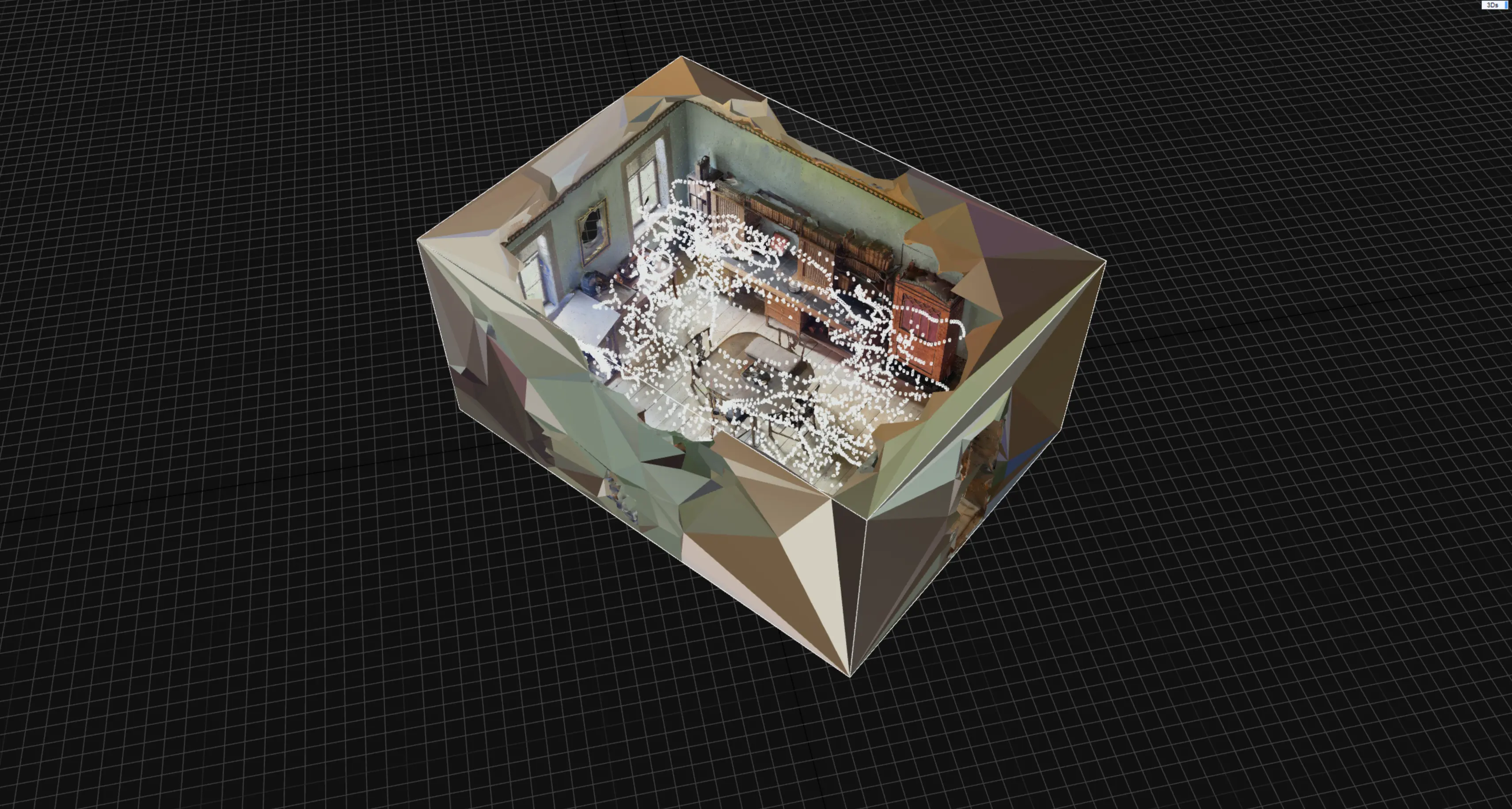 Cameras View